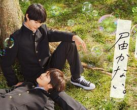 天津网站建设优化案例